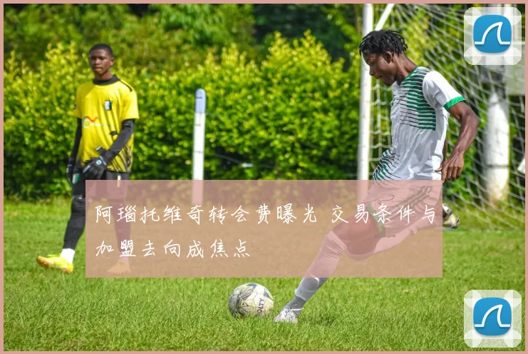 阿瑙托维奇转会费曝光 交易条件与加盟去向成焦点