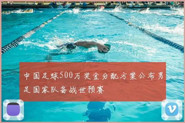 中国足球500万奖金分配方案公布男足国家队备战世预赛