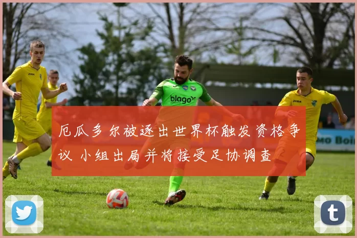 厄瓜多尔被逐出世界杯触发资格争议 小组出局并将接受足协调查