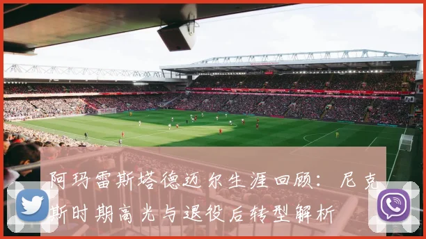 阿玛雷斯塔德迈尔生涯回顾：尼克斯时期高光与退役后转型解析